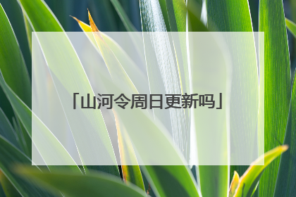 山河令周日更新吗