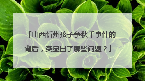 山西忻州孩子争秋千事件的背后，突显出了哪些问题？