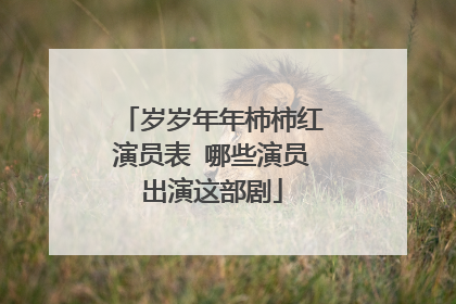 岁岁年年柿柿红演员表 哪些演员出演这部剧