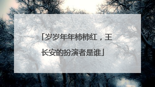 岁岁年年柿柿红，王长安的扮演者是谁