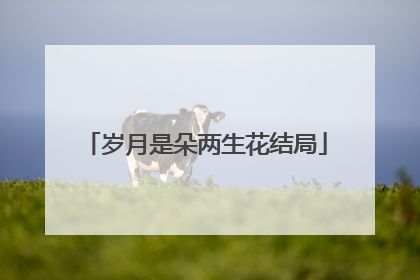 岁月是朵两生花结局