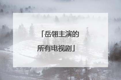 岳翎主演的所有电视剧