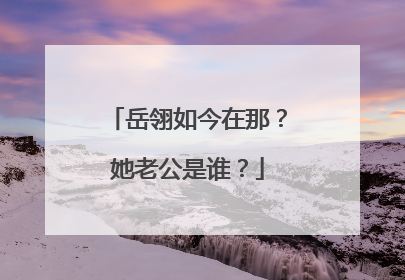 岳翎如今在那？她老公是谁？