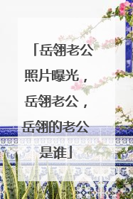 岳翎老公照片曝光，岳翎老公，岳翎的老公是谁