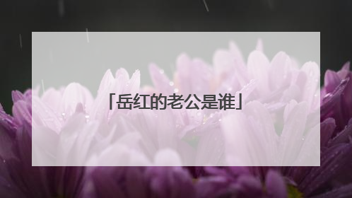 岳红的老公是谁