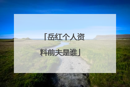 岳红个人资料前夫是谁