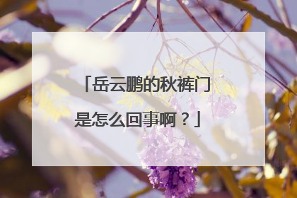 岳云鹏的秋裤门是怎么回事啊？