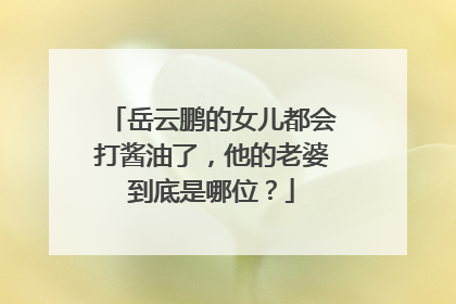 岳云鹏的女儿都会打酱油了,他的老婆到底是哪位?