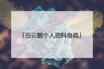 岳云鹏个人资料身高