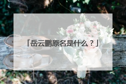 岳云鹏原名是什么?