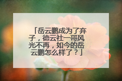 岳云鹏成为了弃子,德云社一哥风光不再,如今的岳云鹏怎么样了?