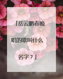 岳云鹏春晚唱的歌叫什么名字？