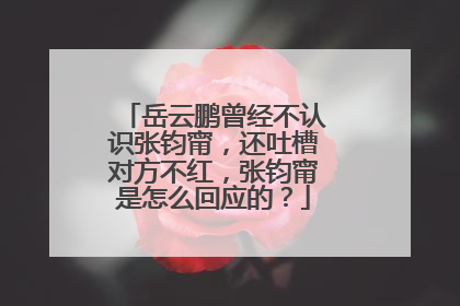 岳云鹏曾经不认识张钧甯,还吐槽对方不红,张钧甯是怎么回应的?