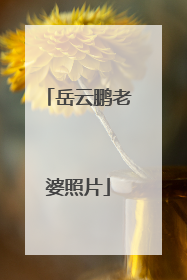 岳云鹏老婆照片