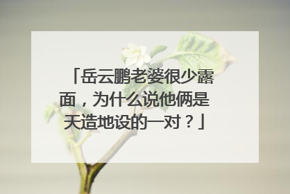 岳云鹏老婆很少露面,为什么说他俩是天造地设的一对?