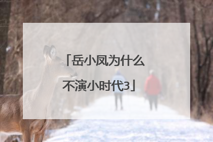 岳小凤为什么不演小时代3