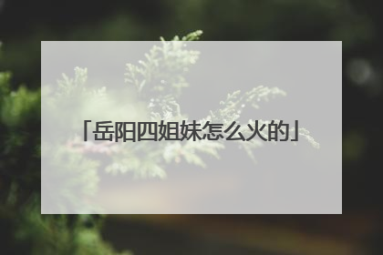 岳阳四姐妹怎么火的