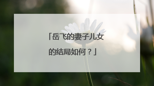 岳飞的妻子儿女的结局如何？