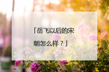 岳飞以后的宋朝怎么样？