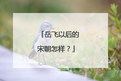 岳飞以后的宋朝怎样?