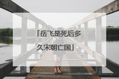 岳飞是死后多久宋朝亡国