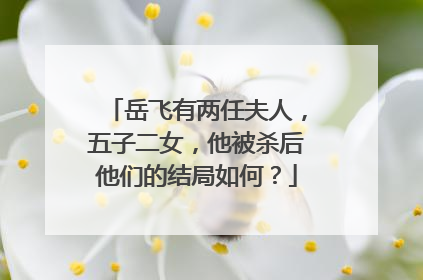 岳飞有两任夫人,五子二女,他被杀后他们的结局如何?