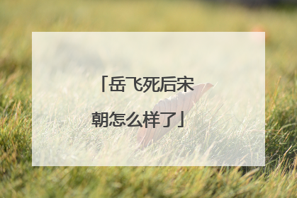 岳飞死后宋朝怎么样了