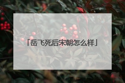 岳飞死后宋朝怎么样