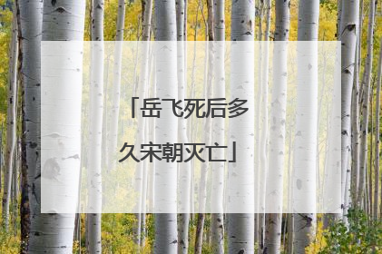 岳飞死后多久宋朝灭亡