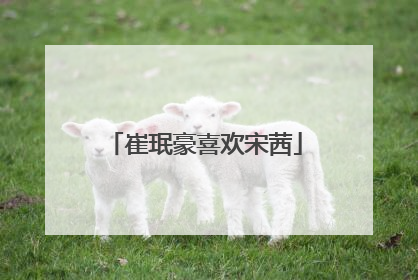 崔珉豪喜欢宋茜