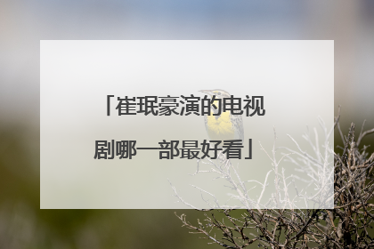 崔珉豪演的电视剧哪一部最好看