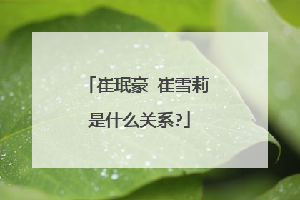 崔珉豪 崔雪莉是什么关系?