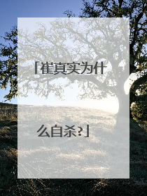 崔真实为什么自杀?