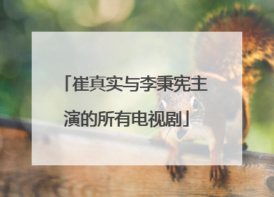 崔真实与李秉宪主演的所有电视剧