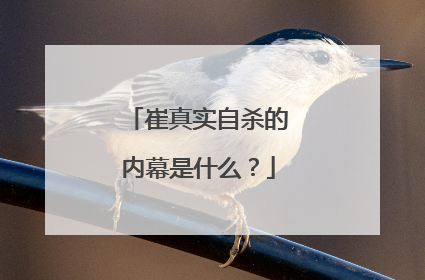 崔真实自杀的内幕是什么?