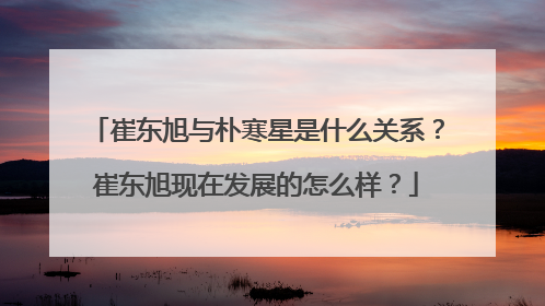 崔东旭与朴寒星是什么关系?崔东旭现在发展的怎么样?