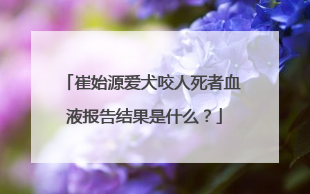 崔始源爱犬咬人死者血液报告结果是什么？