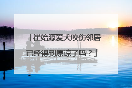 崔始源爱犬咬伤邻居已经得到原谅了吗？