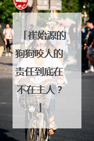 崔始源的狗狗咬人的责任到底在不在主人？