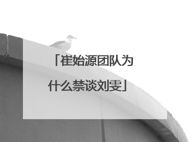 崔始源团队为什么禁谈刘雯