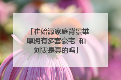崔始源家庭背景雄厚拥有多套豪宅 和刘雯是真的吗