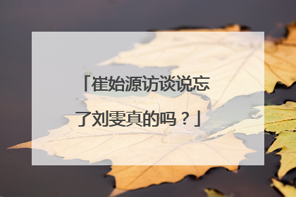 崔始源访谈说忘了刘雯真的吗？