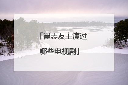 崔志友主演过哪些电视剧