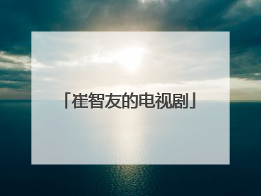 崔智友的电视剧