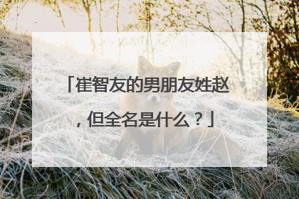 崔智友的男朋友姓赵,但全名是什么?