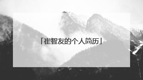 崔智友的个人简历