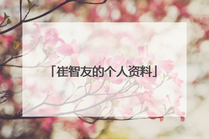 崔智友的个人资料