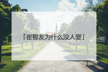 崔智友为什么没人娶