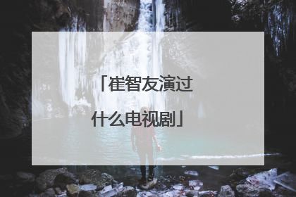 崔智友演过什么电视剧