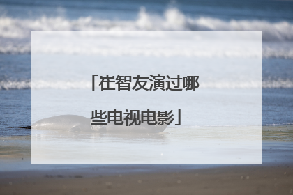 崔智友演过哪些电视电影